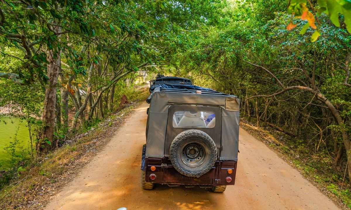 Jeep Safari at Rajaji National Park - 4x4 vehicle on forest trail for tiger spotting